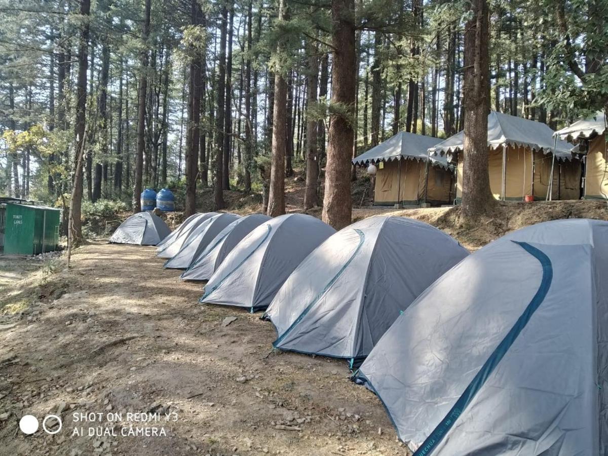 Himtrek Stays,Mcleodganj McLeod Ganj Zewnętrze zdjęcie