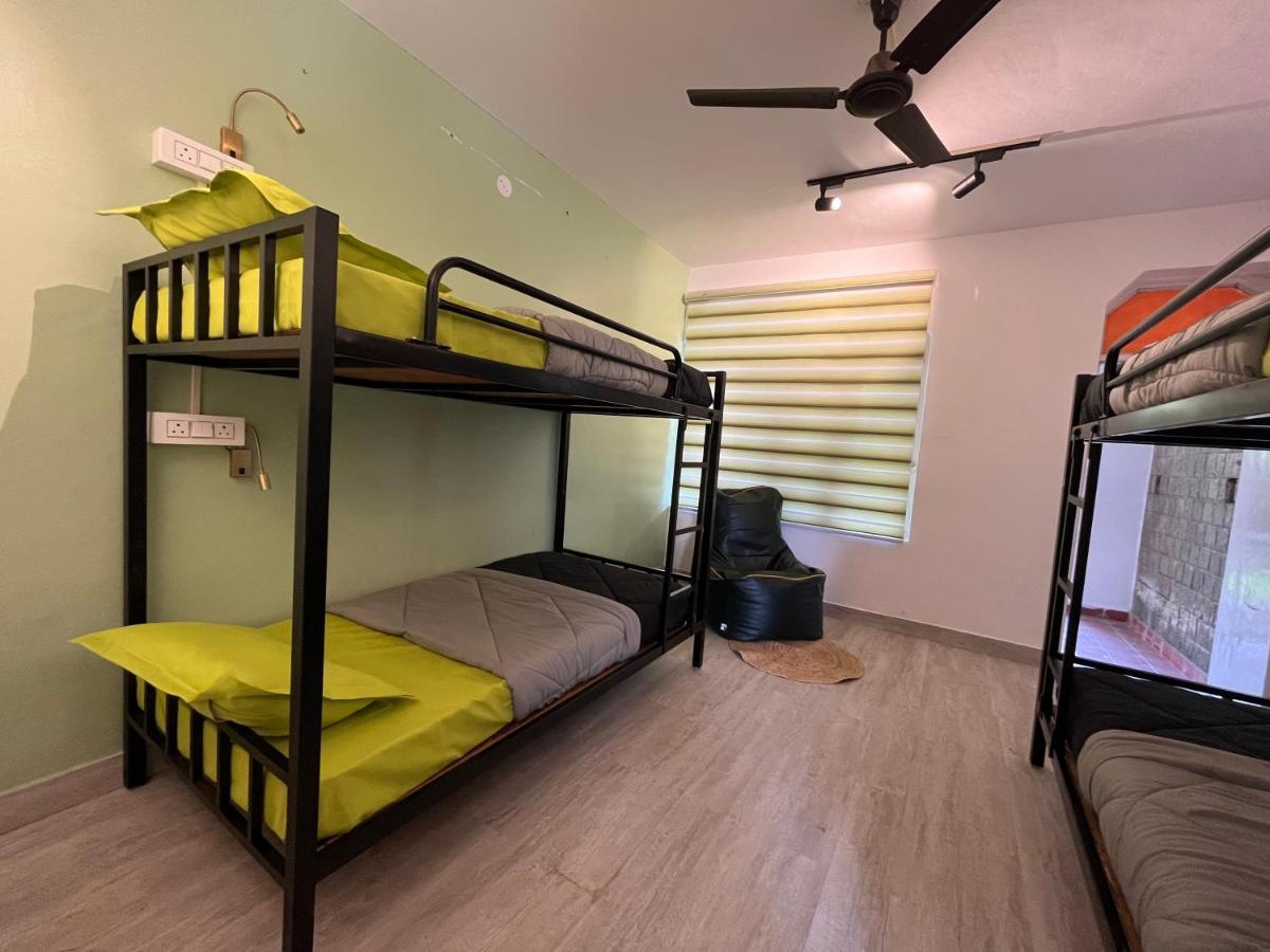Himtrek Stays,Mcleodganj McLeod Ganj Zewnętrze zdjęcie