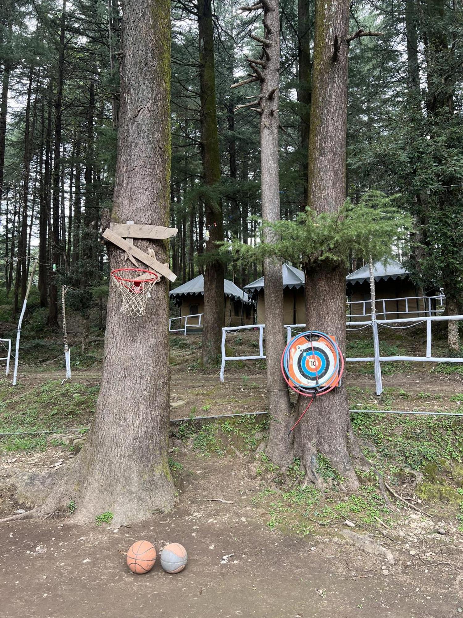 Himtrek Stays,Mcleodganj McLeod Ganj Zewnętrze zdjęcie