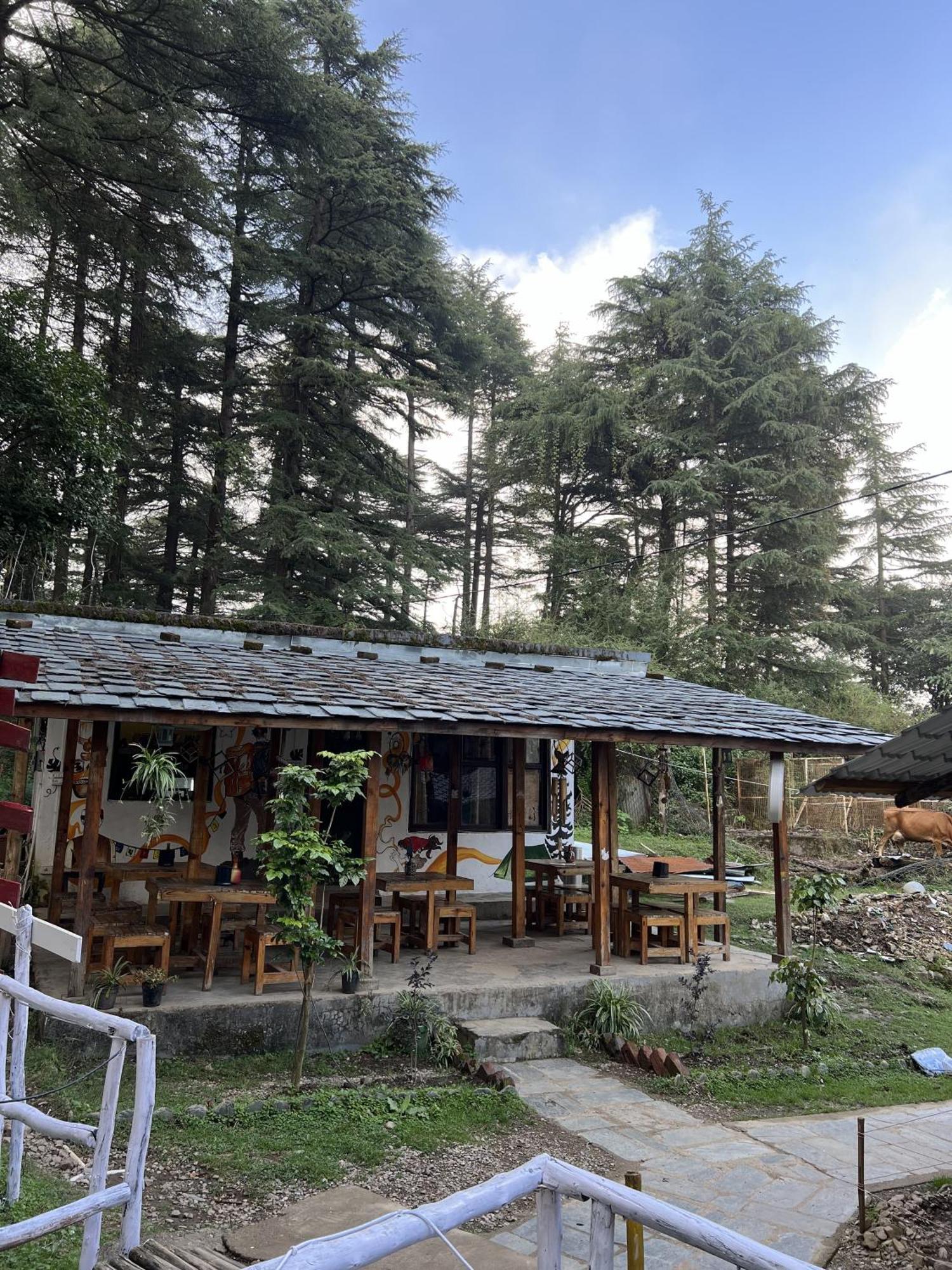 Himtrek Stays,Mcleodganj McLeod Ganj Zewnętrze zdjęcie