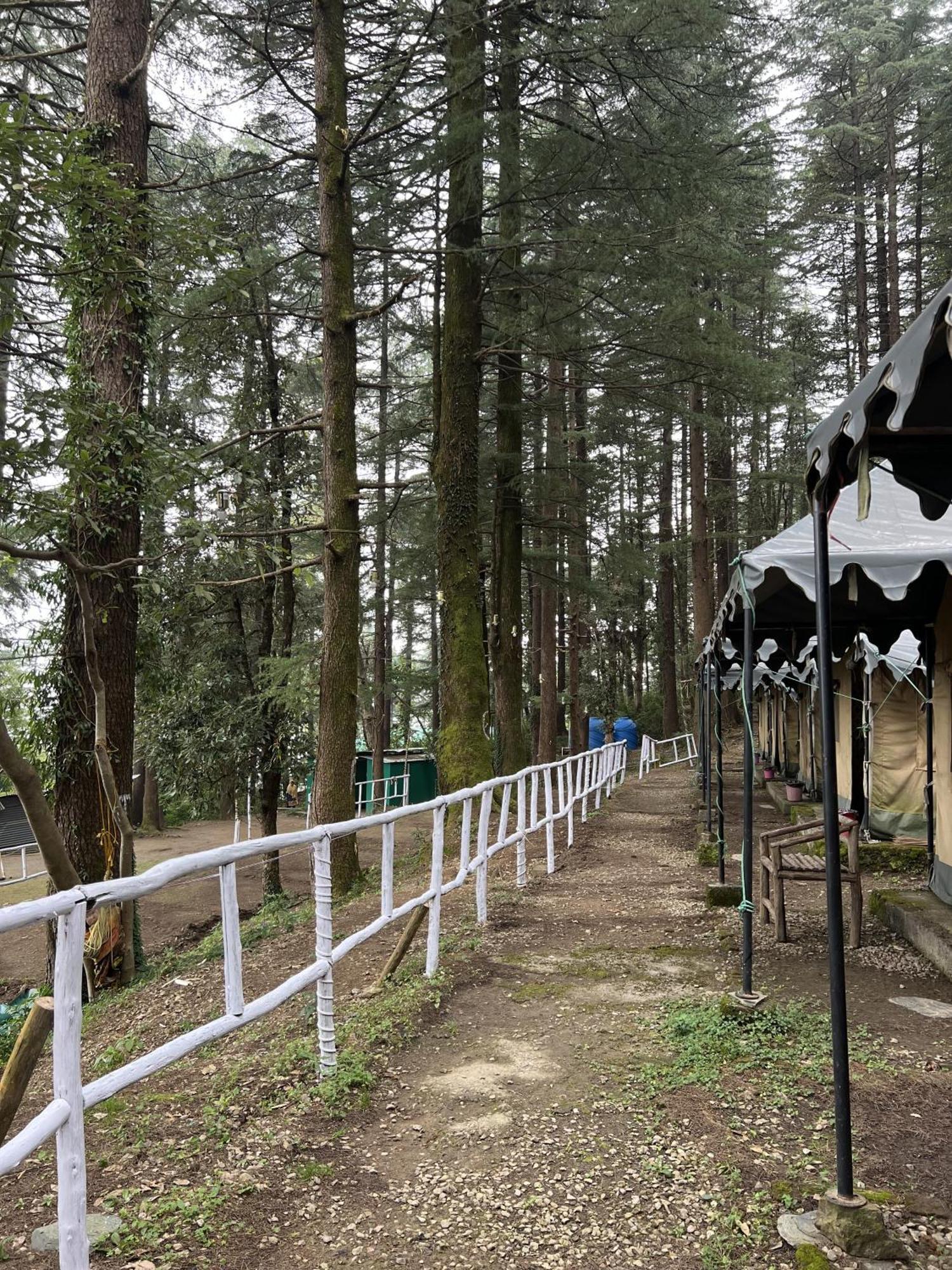 Himtrek Stays,Mcleodganj McLeod Ganj Zewnętrze zdjęcie