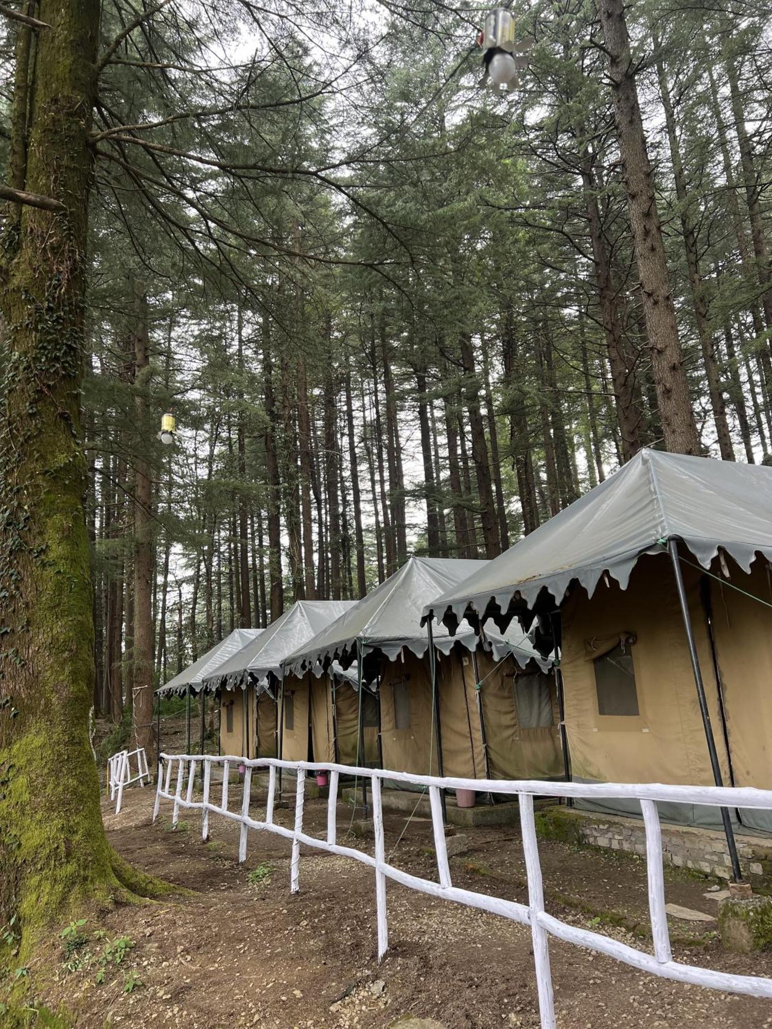 Himtrek Stays,Mcleodganj McLeod Ganj Zewnętrze zdjęcie