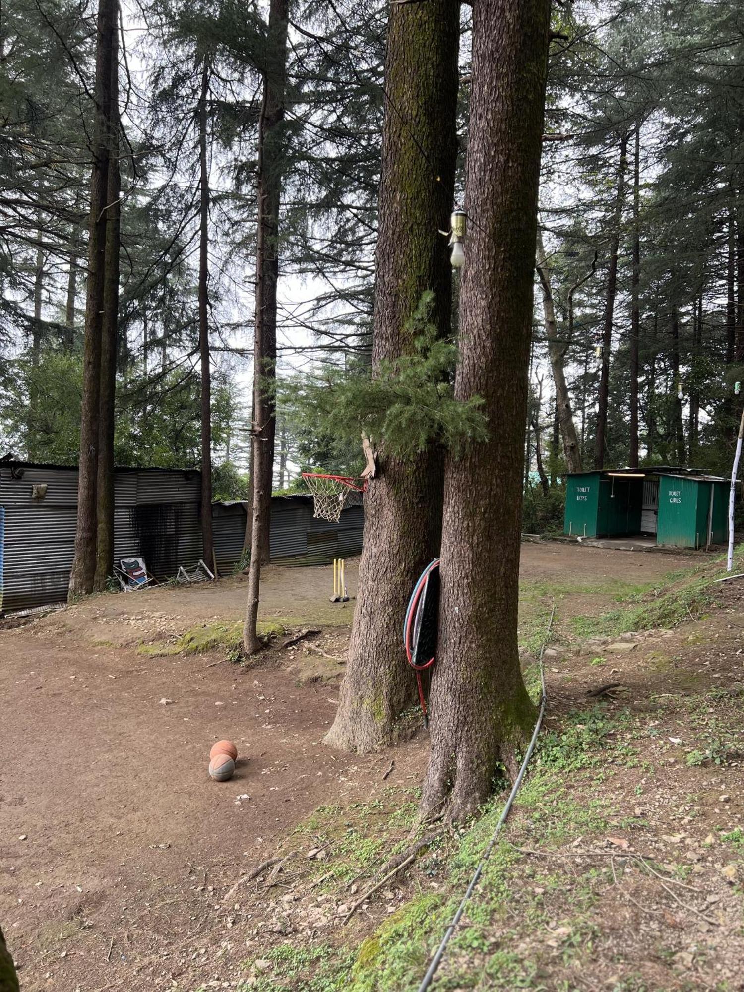 Himtrek Stays,Mcleodganj McLeod Ganj Zewnętrze zdjęcie