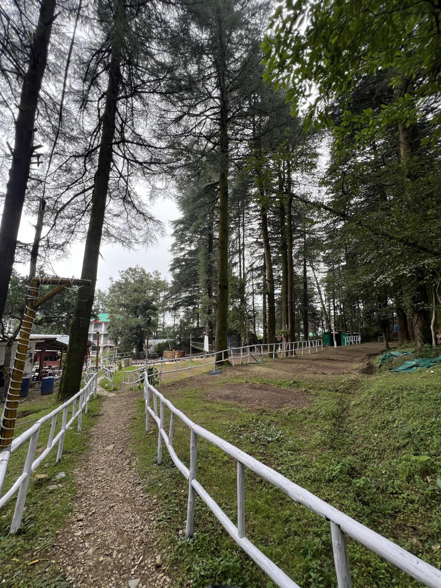 Himtrek Stays,Mcleodganj McLeod Ganj Zewnętrze zdjęcie