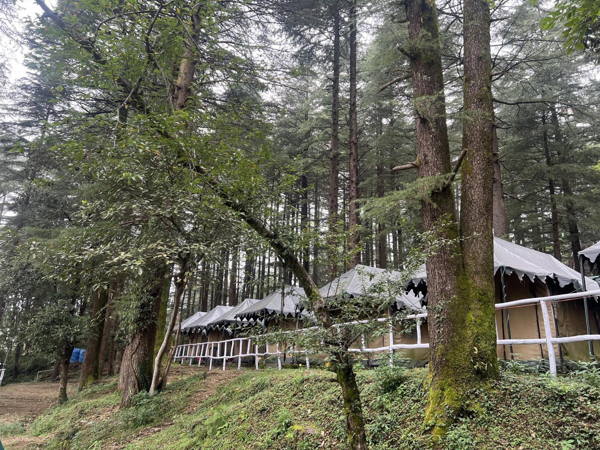 Himtrek Stays,Mcleodganj McLeod Ganj Zewnętrze zdjęcie