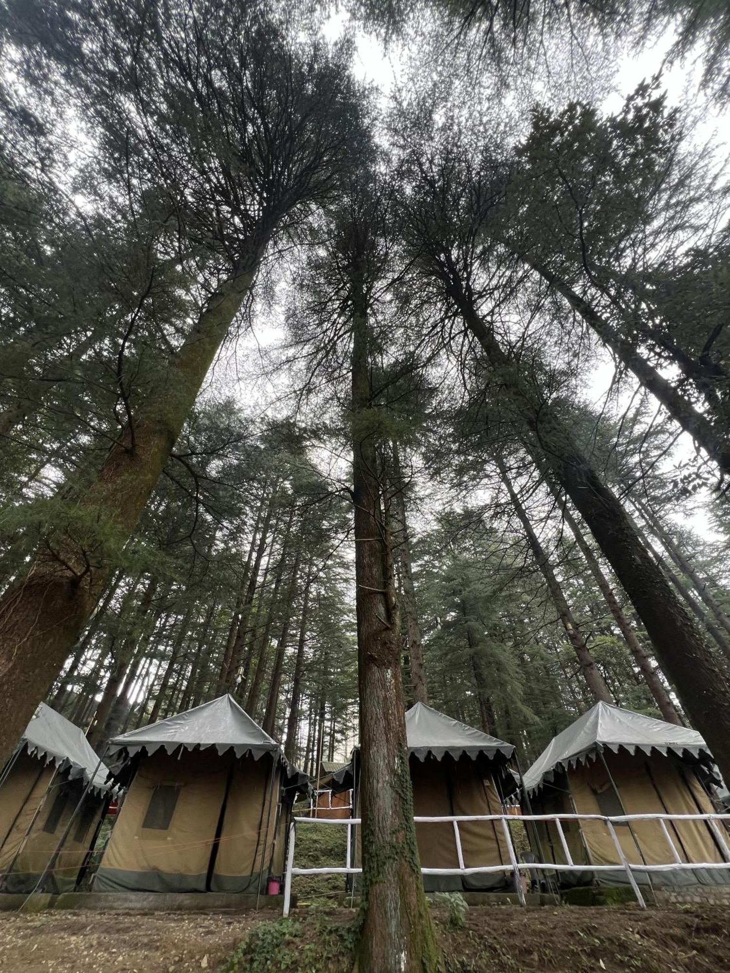 Himtrek Stays,Mcleodganj McLeod Ganj Zewnętrze zdjęcie
