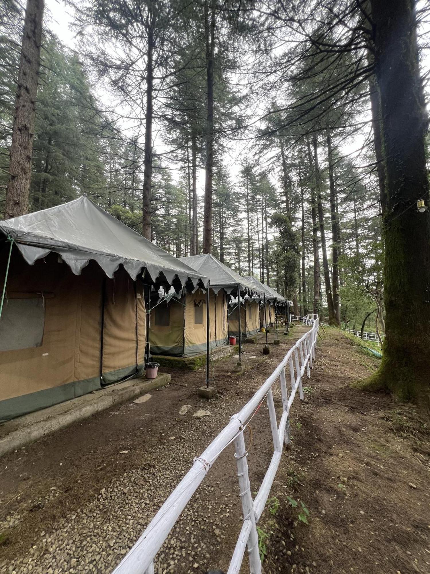 Himtrek Stays,Mcleodganj McLeod Ganj Zewnętrze zdjęcie