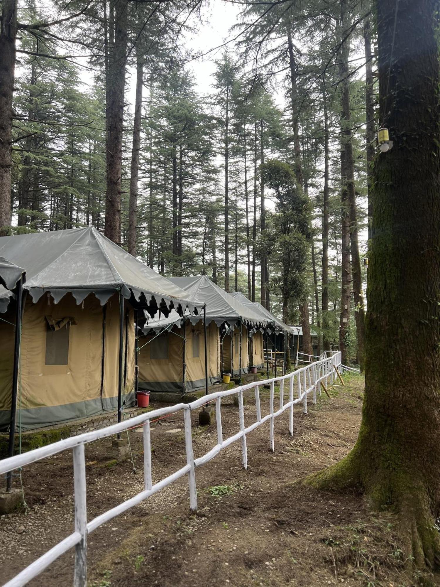 Himtrek Stays,Mcleodganj McLeod Ganj Zewnętrze zdjęcie