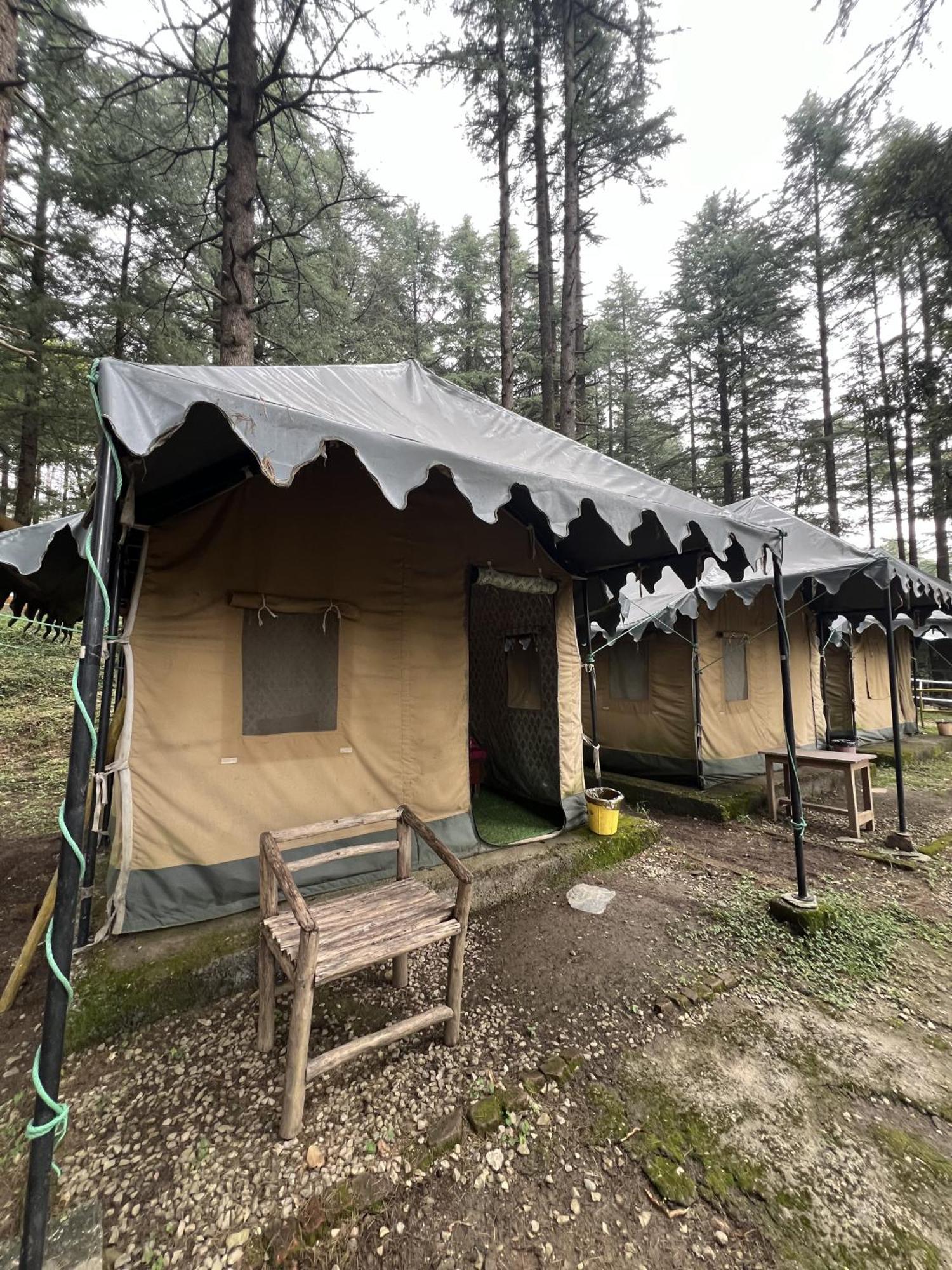 Himtrek Stays,Mcleodganj McLeod Ganj Zewnętrze zdjęcie